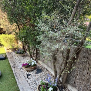 עציצים עם פרחים צבעוניים על שביל חצץ בגינה