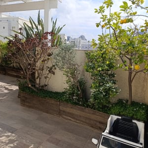 עצים וצמחים בגינה עם צעצוע רכב קטן