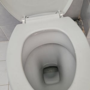 אסלה לבנה עם מכסה פתוח ורצפת אריחים