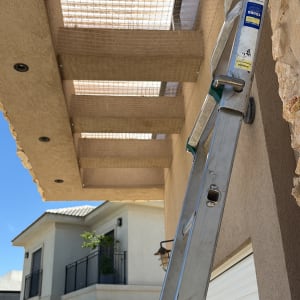 סולם ליד מבנה עם רשת למניעת יונים