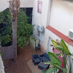 חצר עם כיסאות, שולחן ועצים