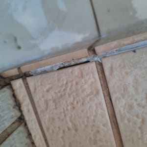 רווח בין אריחים עם סימני רטיבות ועובש