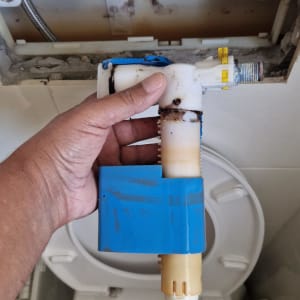 מנגנון לניאגרה