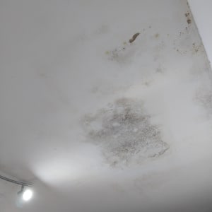 תקרה עם כתמי רטיבות ועובש לפני צביעה