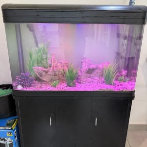 אקווריום עם קישוטים וצמחים מלאכותיים