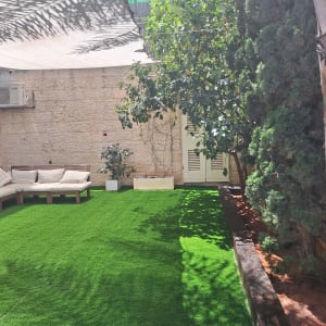 גינה עם דשא סינתטי ועצים מסביב