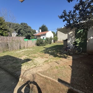 חצר עם דשא, גדר במבוק ועצים