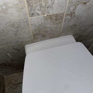 מכסה אסלה על רקע קיר אריחים