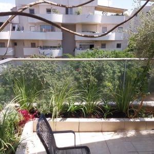 גינה במרפסת עם צמחים ועצים קטנים