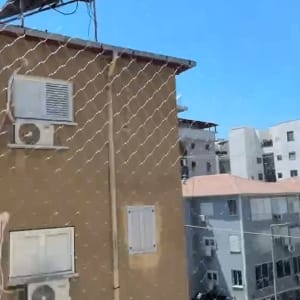 רשת נגד יונים על רקע בניינים
