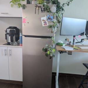 מקרר עם צמחים ומחשב לידו במשרד ביתי