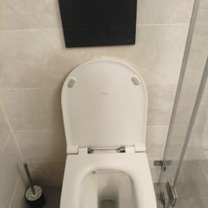 אסלה עם מברשת ניקוי בחדר אמבטיה