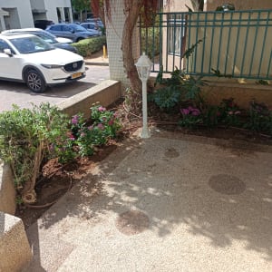 גינה קטנה עם פרחים צבעוניים וגדר מתכת