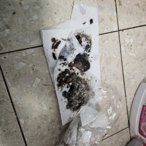 נייר סופג עם לכלוך על רצפה, מוצרי ניקוי בצד