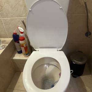 אסלה עם חומרי ניקוי ליד