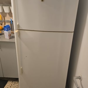 מקרר במטבח עם מגנטים על הדלת