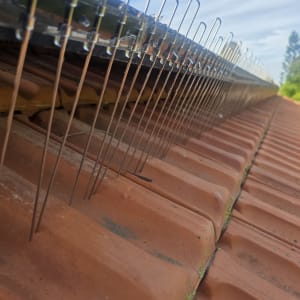 דוקרנים על גג למניעת יונים