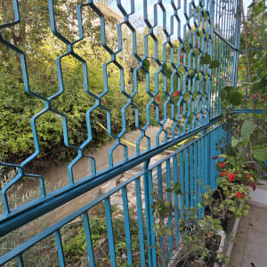 מעקה מתכת כחול עם צמחייה מסביב