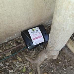 תיבת פיתיון להדברת מזיקים ליד עץ