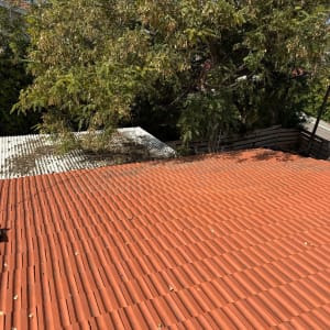 גג רעפים אדום עם עלים יבשים פזורים עליו