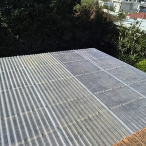 גג פלסטיק שקוף עם עצים ברקע