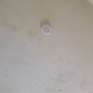 גלאי עשן מותקן על תקרה לבנה