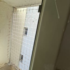 רשת יונים מותקנת על חלון בניין