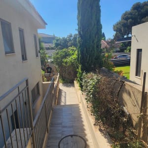 שביל עם עץ גבוה וצמחייה מסביב לבית
