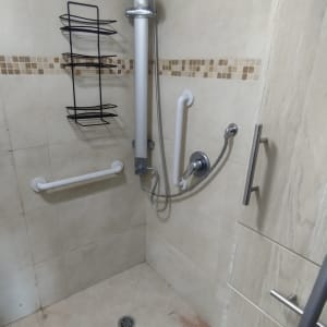 shower with grab bars and showerhead