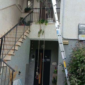 סולם מתכת ליד גג עם צמחייה ודלת כניסה