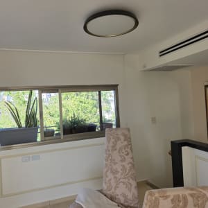 חדר עם כורסה, חלון וצמחייה בחוץ