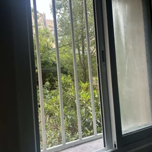 חלון פתוח עם סורגים ונוף של צמחייה בחוץ