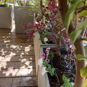 אדניות בטון במרפסת עם צמחייה ומערכת השקיה בטפטוף