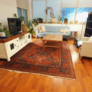 סלון עם שטיח, ספה, שולחן עץ וצמחי נוי