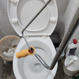 אסלה עם מברשת ניקוי בחדר אמבטיה