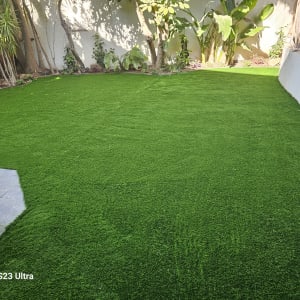 דשא סינתטי בגינה עם צמחים מסביב