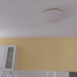קיר צבוע בצהוב עם תקרה לבנה
