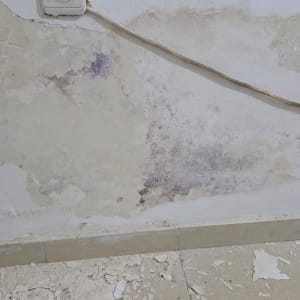 קיר פנימי עם קילופי צבע, עובש ונזקי רטיבות קפילארית מעל הפנלים