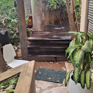 גינה עם צמחייה, מדרגות עץ ועציץ גדול
