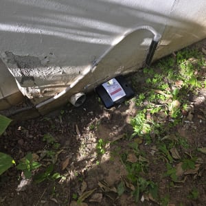 תחנת פיתיון להדברת מזיקים ליד קיר חיצוני