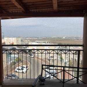 רשת נגד יונים