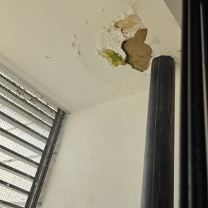 תקרת מבנה עם נזקי רטיבות קשים, קילופי צבע ועובש לפני תיקון וצביעה