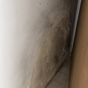 קיר עם סימני רטיבות ונזקי מים