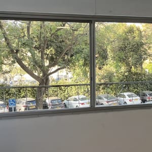 חלון נקי עם נוף לעצים ומכוניות