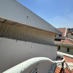 קוצים על גג למניעת ציפורים, צינור מבודד