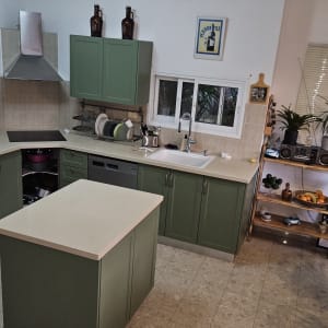 מטבח עם ארונות ירוקים, תנור ומדיח כלים