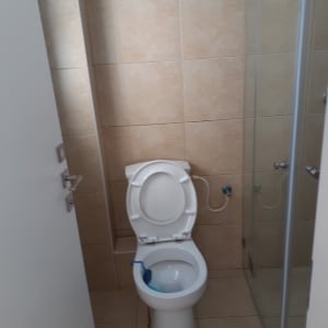 אסלה עם מברשת ניקוי כחולה בתוכה