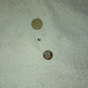 תמונה אינה מציגה עבודה בתחום