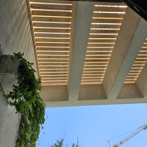 תקרת עץ עם צמחים מטפסים על קיר