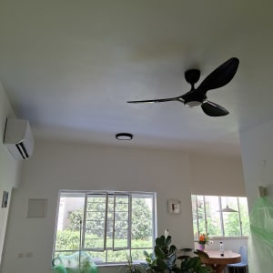 חדר עם מאוורר תקרה, חלונות וצמחים
